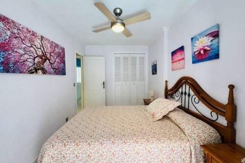 Rindu māja pārdošanā La Mata, Alicante, Spānijā 2 istabas, 75 m2 Nr. 148983 - attēls 21