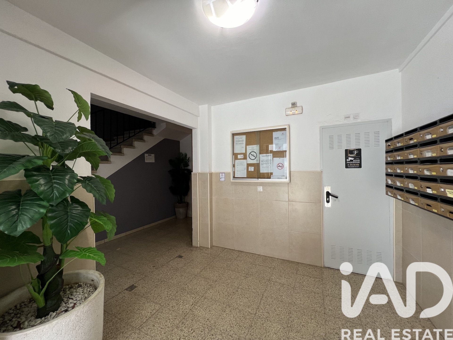 Apartament w Castello d'Empuries, Girona, Hiszpania 1 sypialnia, 29 mkw. nr 184684