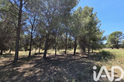 Działka w Calasparra, Murcia, Hiszpania 10400 mkw. nr 184679