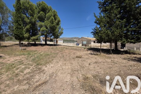 Продажа земельного участка в Каласпарра, Мурсия, Испания 10400м2 №184679 - фото 2