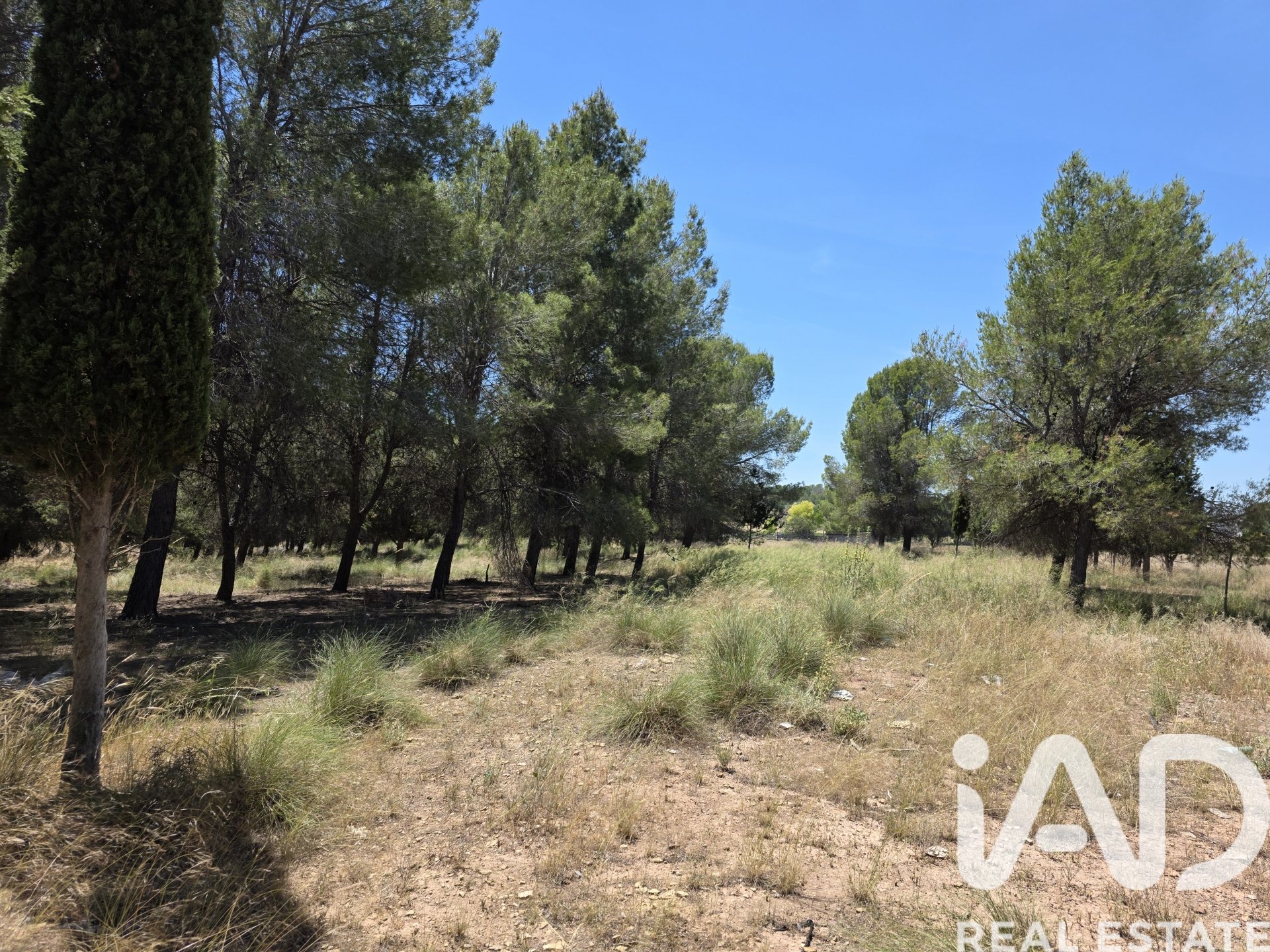 Parcela en Calasparra, Murcia, España 10400 m2 No. 184679