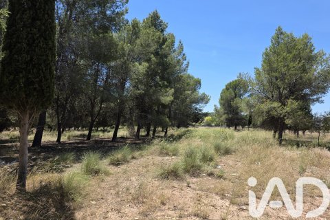 Продажа земельного участка в Каласпарра, Мурсия, Испания 10400м2 №184679 - фото 3