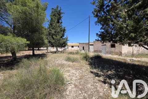 Продажа земельного участка в Каласпарра, Мурсия, Испания 10400м2 №184679 - фото 5