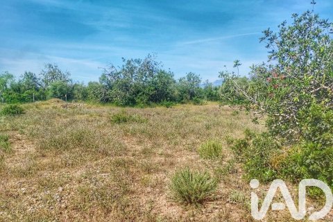 Propiedad comercial en venta en Roquetes, Tarragona, España No. 184678 - foto 15