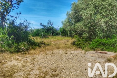 Propiedad comercial en venta en Roquetes, Tarragona, España No. 184678 - foto 14