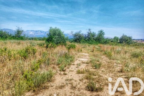 Propiedad comercial en venta en Roquetes, Tarragona, España No. 184678 - foto 29