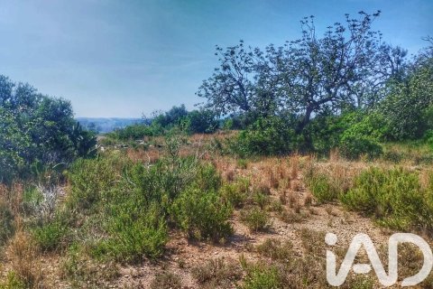 Propiedad comercial en venta en Roquetes, Tarragona, España No. 184678 - foto 21