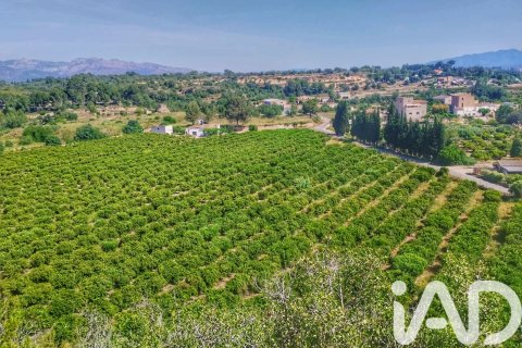 Propiedad comercial en venta en Roquetes, Tarragona, España No. 184678 - foto 23