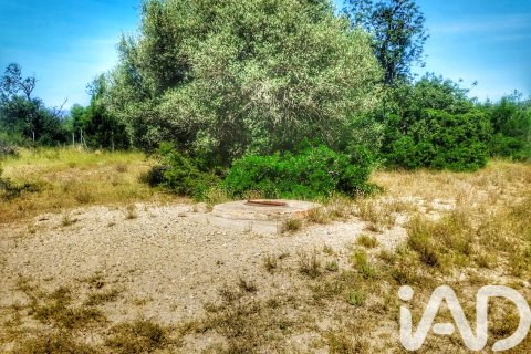 Propiedad comercial en venta en Roquetes, Tarragona, España No. 184678 - foto 18