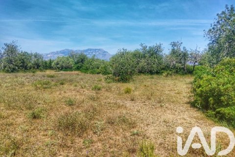 Propiedad comercial en venta en Roquetes, Tarragona, España No. 184678 - foto 17