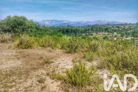 Propiedad comercial en venta en Roquetes, Tarragona, España No. 184678 - foto 7