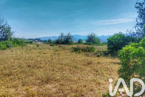 Propiedad comercial en venta en Roquetes, Tarragona, España No. 184678 - foto 8