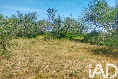 Propiedad comercial en venta en Roquetes, Tarragona, España No. 184678 - foto 16