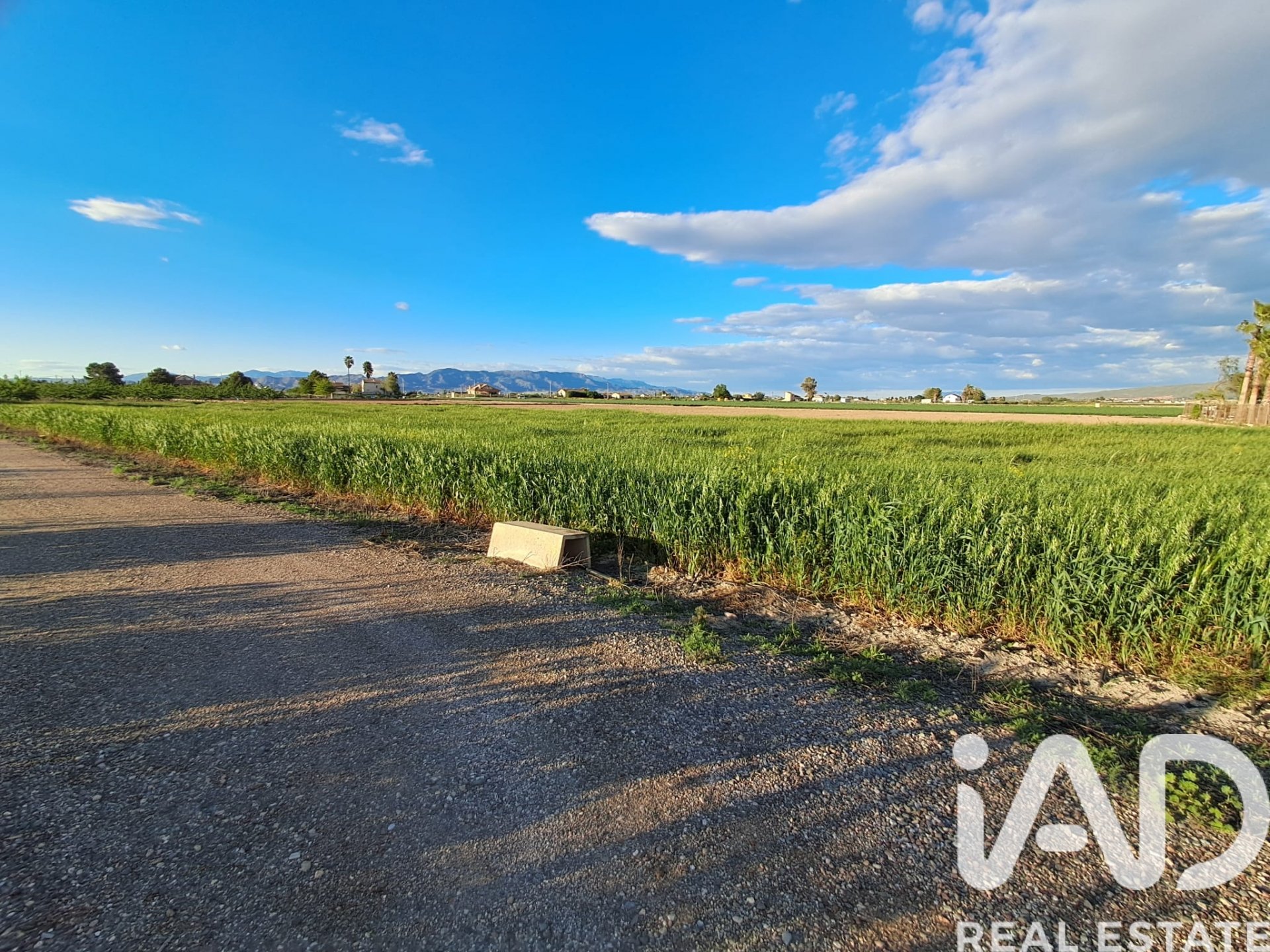 Terreno a Lorca, Murcia, Spagna 3282 mq. N° 184680