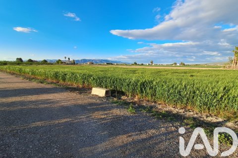 Terreno in vendita a Lorca, Murcia, Spagna 3282 mq. N° 184680 - foto 6