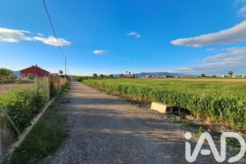 Terreno in vendita a Lorca, Murcia, Spagna 3282 mq. N° 184680 - foto 12
