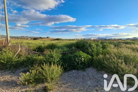 Terreno in vendita a Lorca, Murcia, Spagna 3282 mq. N° 184680 - foto 8