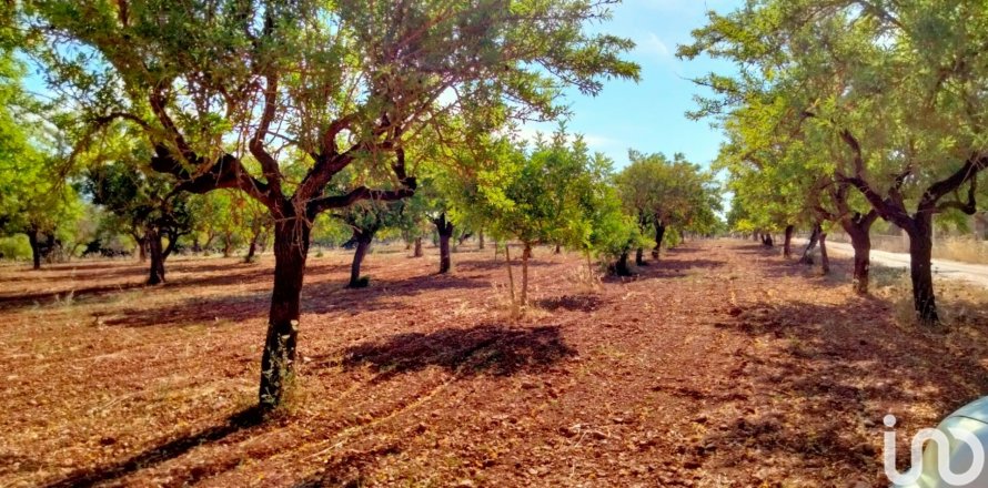 Zemes gabals Mallorca, Spānijā 18000 m2 Nr. 154266