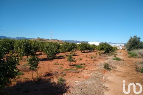 Земельный участок в Вила-Реаль, Кастельон, Испания 3058м2 №154264