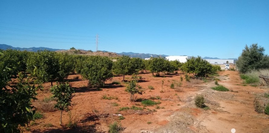 Terreno a Vila-real, Castellon, Spagna 3058 mq. N° 154264