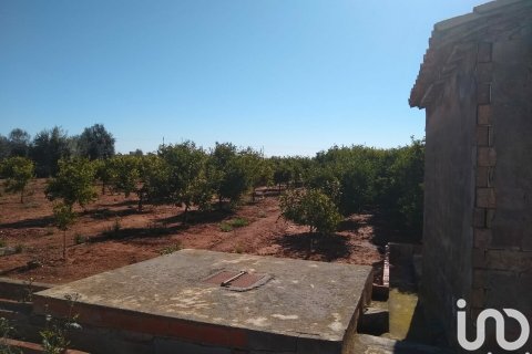 Terreno in vendita a Vila-real, Castellon, Spagna 3058 mq. N° 154264 - foto 2