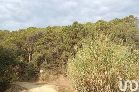 Terreno in vendita a Sant Cebria De Vallalta, Barcelona, Spagna 11000 mq. N° 154263 - foto 9