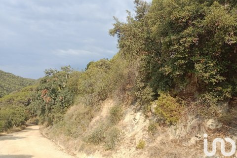 Terreno in vendita a Sant Cebria De Vallalta, Barcelona, Spagna 11000 mq. N° 154263 - foto 15