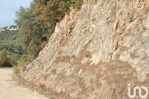 Terreno in vendita a Sant Cebria De Vallalta, Barcelona, Spagna 11000 mq. N° 154263 - foto 13