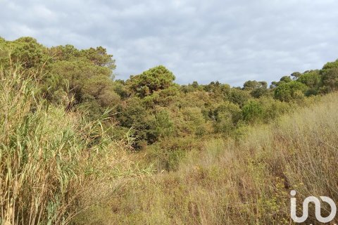 Terreno in vendita a Sant Cebria De Vallalta, Barcelona, Spagna 11000 mq. N° 154263 - foto 8