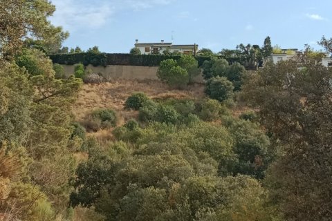 Terreno in vendita a Sant Cebria De Vallalta, Barcelona, Spagna 11000 mq. N° 154263 - foto 14