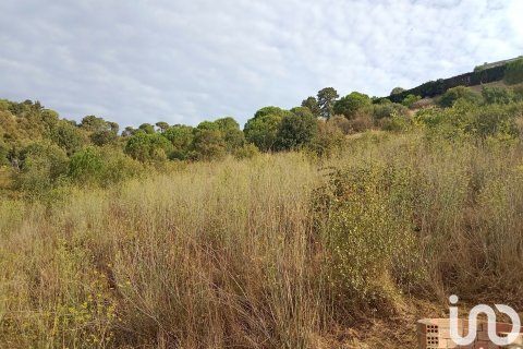 Terreno in vendita a Sant Cebria De Vallalta, Barcelona, Spagna 11000 mq. N° 154263 - foto 4