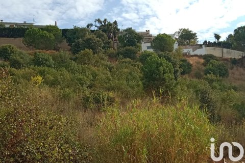 Terreno in vendita a Sant Cebria De Vallalta, Barcelona, Spagna 11000 mq. N° 154263 - foto 11