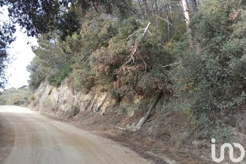 Terreno in vendita a Sant Cebria De Vallalta, Barcelona, Spagna 11000 mq. N° 154263 - foto 7