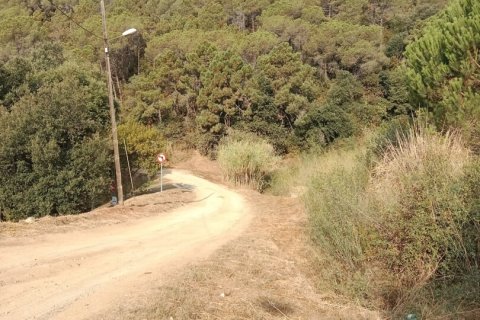 Terreno in vendita a Sant Cebria De Vallalta, Barcelona, Spagna 11000 mq. N° 154263 - foto 2