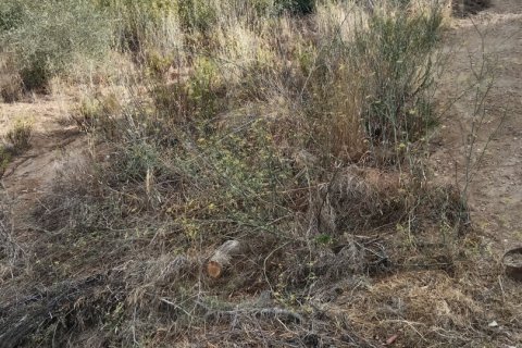 Terreno in vendita a Sant Cebria De Vallalta, Barcelona, Spagna 11000 mq. N° 154263 - foto 5