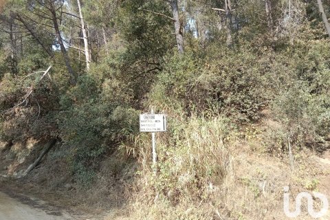 Terreno in vendita a Sant Cebria De Vallalta, Barcelona, Spagna 11000 mq. N° 154263 - foto 10