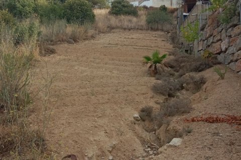 Terreno in vendita a Sant Cebria De Vallalta, Barcelona, Spagna 11000 mq. N° 154263 - foto 3