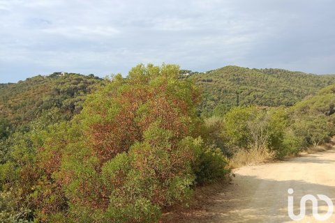 Terreno a Sant Cebria De Vallalta, Barcelona, Spagna 11000 mq. N° 154263