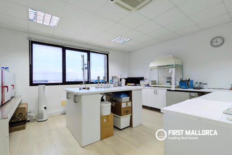 Commercial property for sale in Palma de Majorca, Mallorca, Spain 79 sq.m. No. 178122 - photo 3