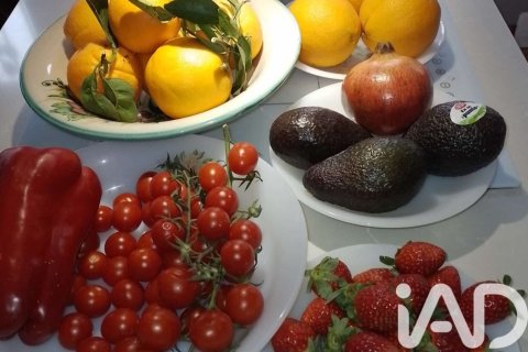 Townhouse for sale in Tarifa, Cadiz, Spain 3 bedrooms, 164 sq.m. No. 152819 - photo 5