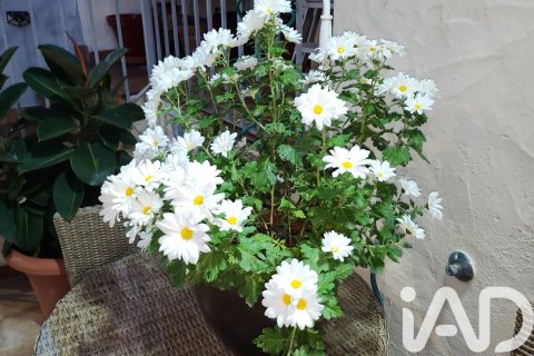 Townhouse for sale in Tarifa, Cadiz, Spain 3 bedrooms, 164 sq.m. No. 152819 - photo 18