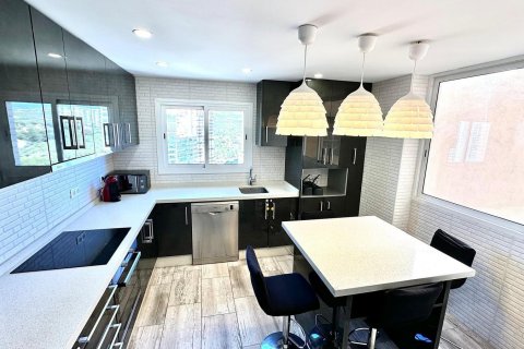 Продажа квартиры Бенидорм, Аликанте, Испания 3 спальни, 124м2 №109378 - фото 17