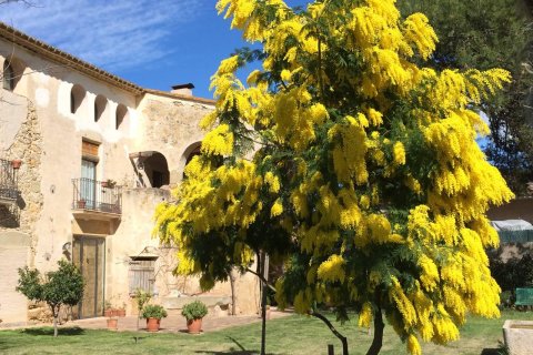 Dom w Corca, Girona, Hiszpania nr 141249 – zdjęcie 5