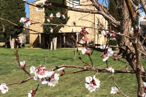 Dom w Corca, Girona, Hiszpania nr 141249 – zdjęcie 1