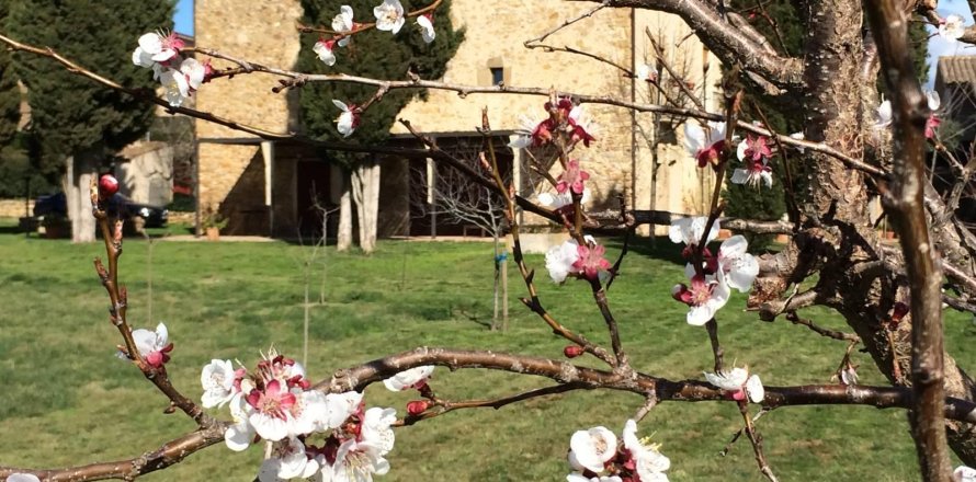 Dom w Corca, Girona, Hiszpania nr 141249