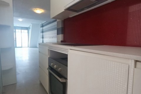 Продажа квартиры Торревьеха, Аликанте, Испания 2 спальни,  №114971 - фото 12