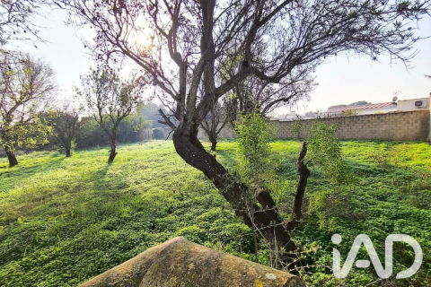 Terreno a Chiclana de la Frontera, Cadiz, Spagna 947 mq. N° 187554