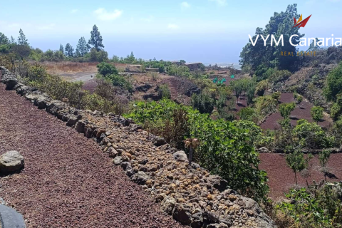 Finca à vendre Guia de Isora, Tenerife, Espagne, 1 chambre, 63 m2 No. 138813 - photo 3