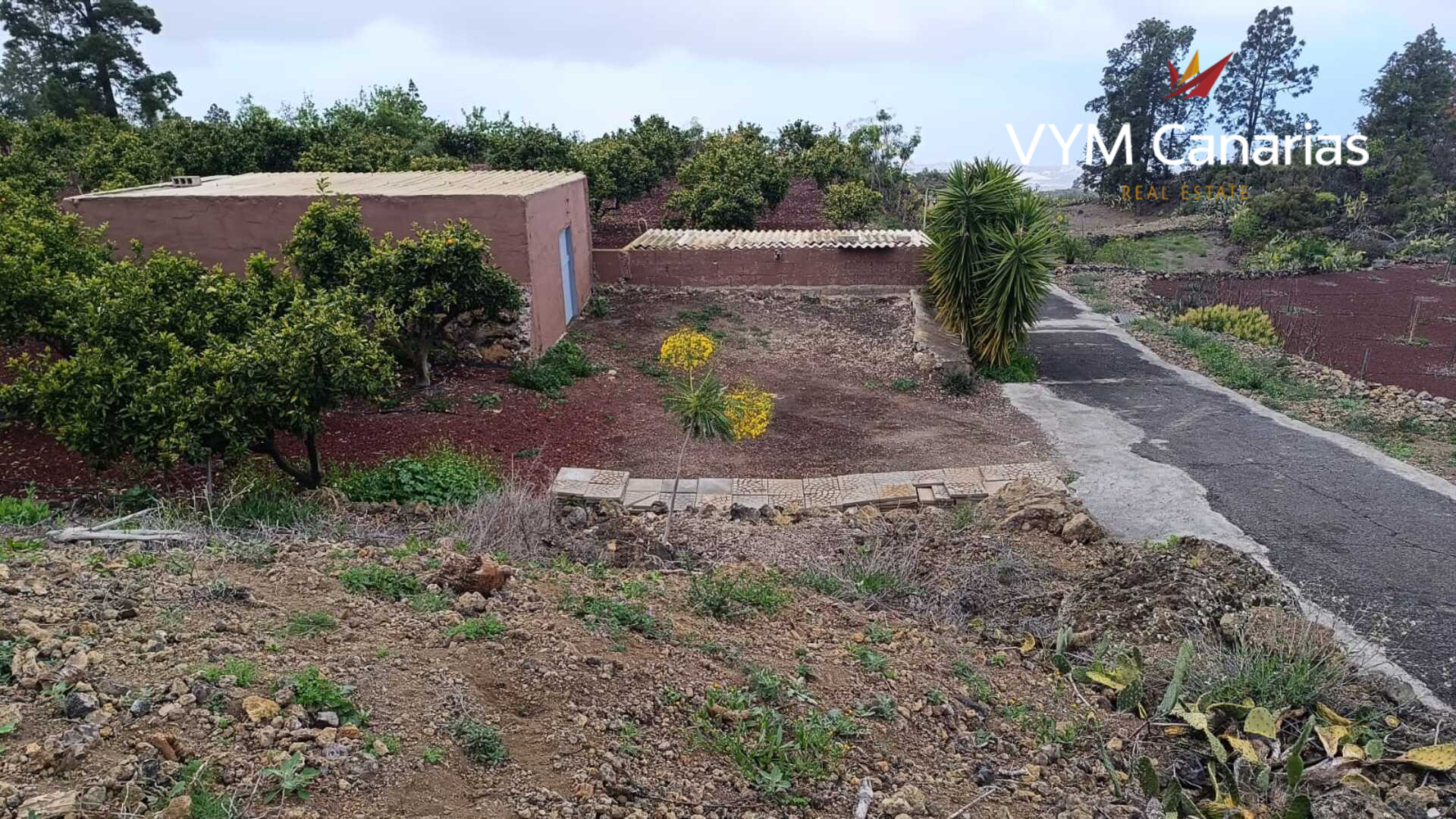 Finca en Guía de Isora, Tenerife, España 1 dormitorio, 63 m2 No. 138813