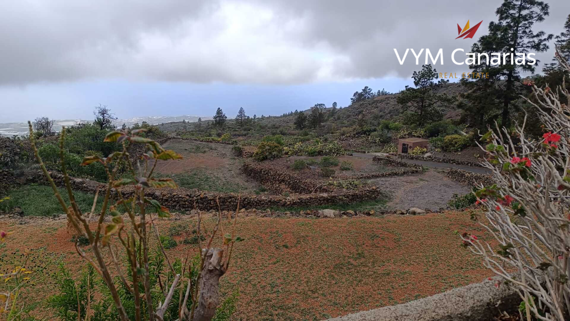Finca en Guía de Isora, Tenerife, España 1 dormitorio, 63 m2 No. 138813